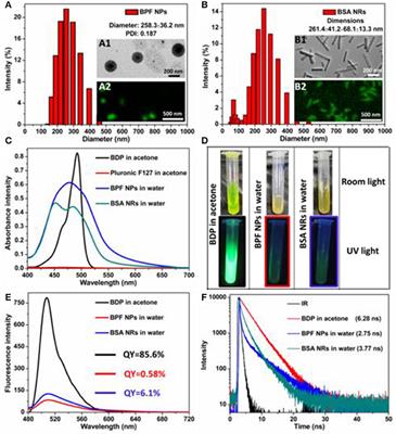 Comparing the Rod-Like and Spherical BODIPY Nanoparticles in Cellular Imaging